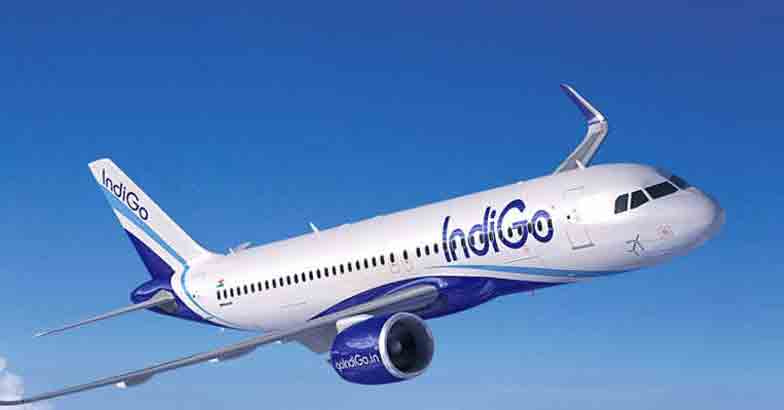 Indigo Airlines