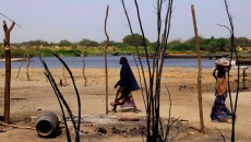 Save Lake Chad