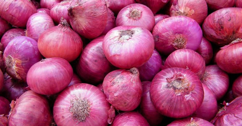 big onion
