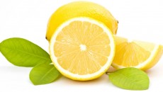 lemon fetches