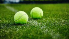 tennis-ball-cricket